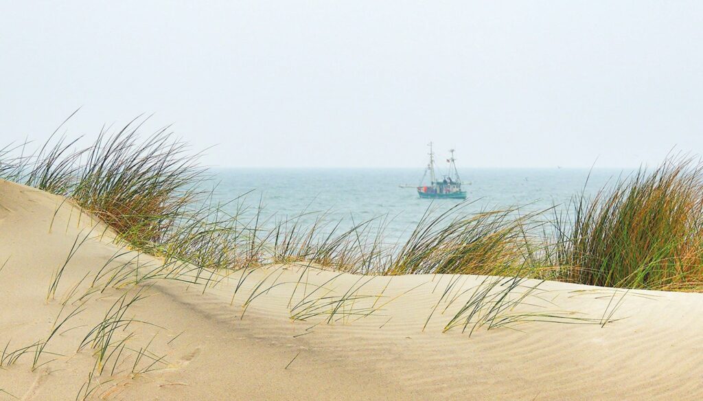 Sand dunes with grass and distant fishing boat